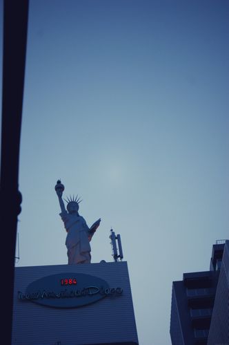 DSC01014.JPG effected