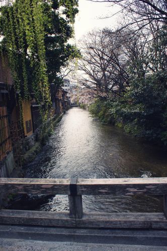 DSC01069.JPG effected