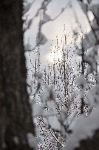 Ciel de neige