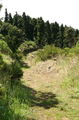 sentier.jpg