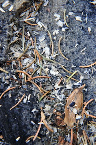 Land-art 0014a