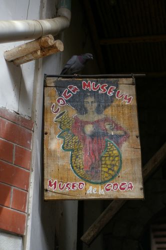 IMGP9615