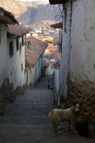 IMGP0637