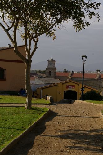 IMGP6096.JPG