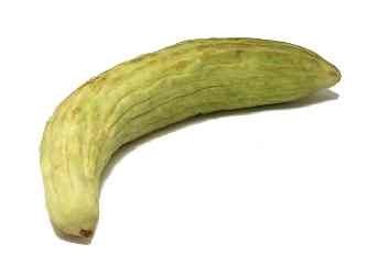 الأرميني Armenian Cucumber