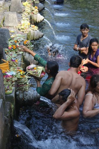 BALI-SUITE 2108-WEB