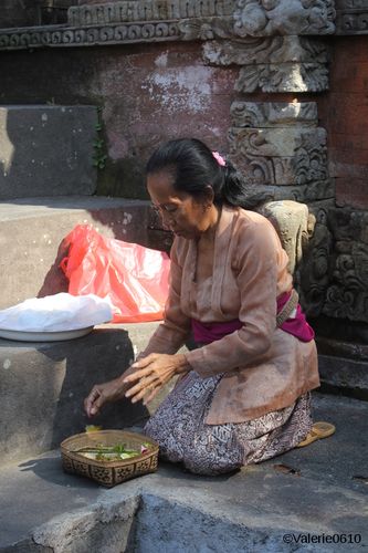 BALI-SUITE 2115-WEB
