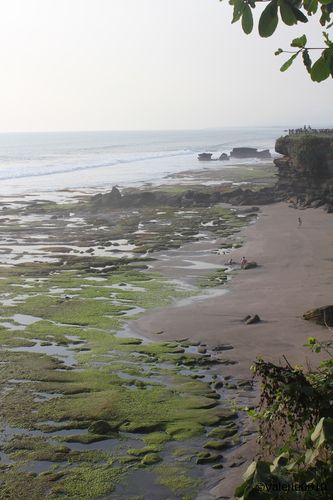 BALI-SUITE 2505-WEB