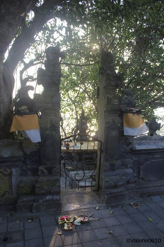 BALI-SUITE 2510-WEB