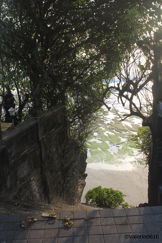 BALI-SUITE 2511-WEB
