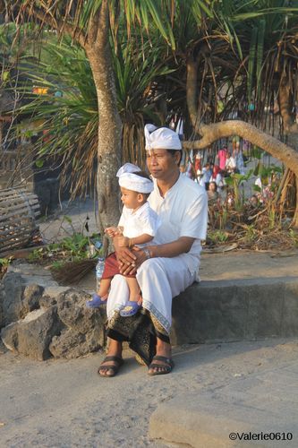 BALI-SUITE 2528-WEB