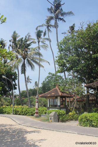 BALI-SUITE 2680-WEB