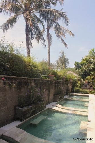 BALI-SUITE 2733-WEB