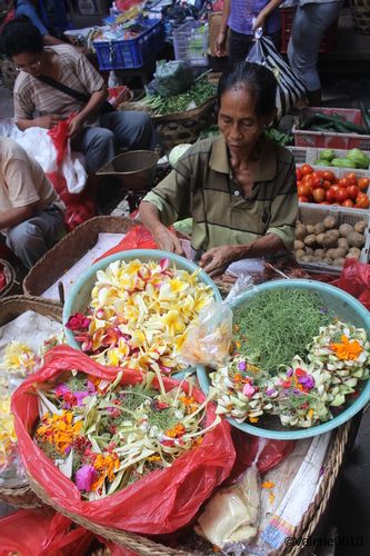 BALI 1961-WEB