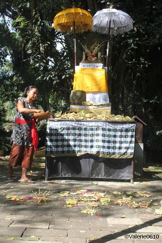 BALI 2072-WEB