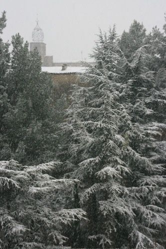 Neige2010 2906