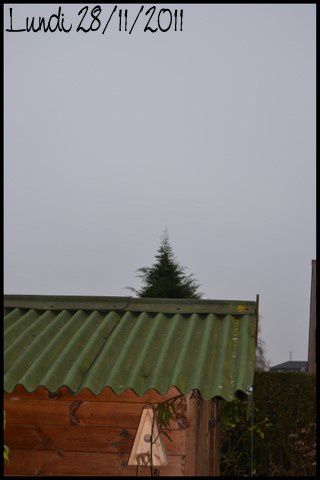 2011-11-28