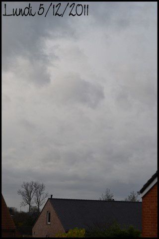 2011-12-05.jpg