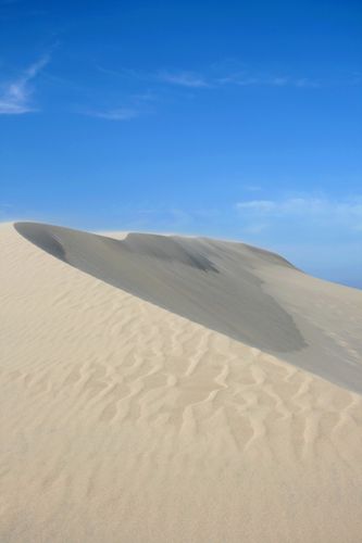 dune19