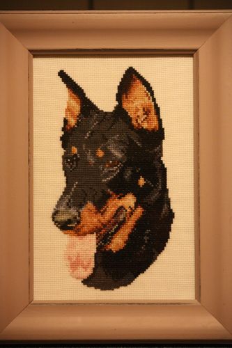 beauceron-1.jpg