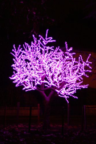 2011-0151.JPG