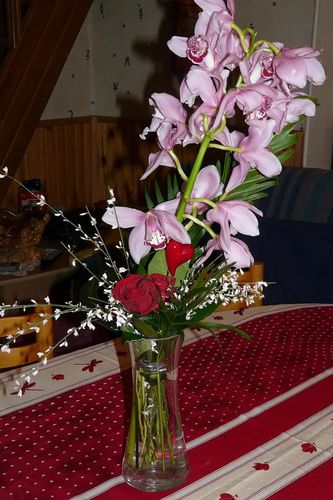 orchidées valentin 2010 4