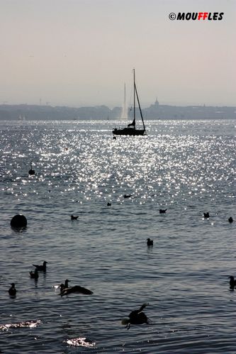 23-0ctobre-2011-mo--8-.jpg