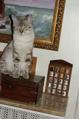 chat-003.JPG