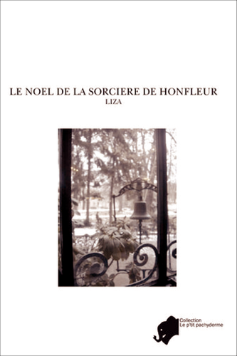 Le-Noel-de-la-sorci-re-copie-1.png