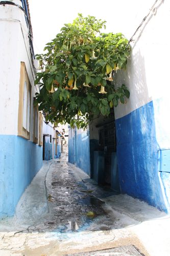 Maroc - villes impériales - mars 2011 1651