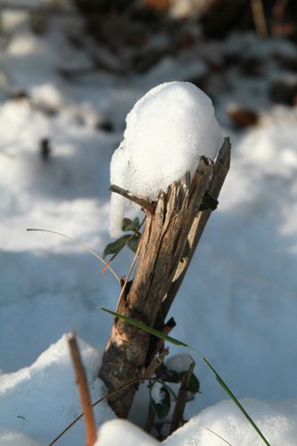 neige sur sollies (46)