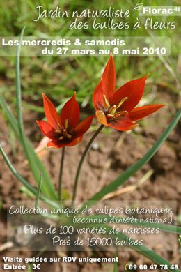 affiche_2010_2.jpg