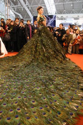 20090330_robe_mariee_plumes_paon_01
