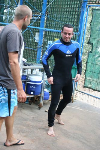 swimming with whale sharks exmouth (2)