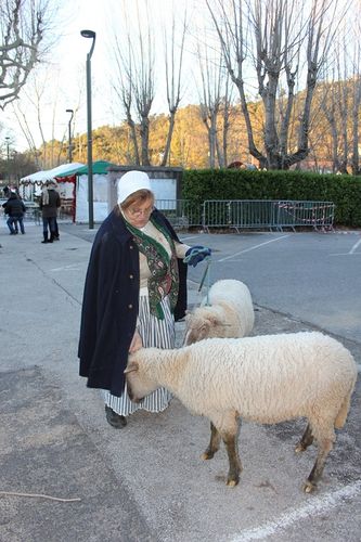 les-santons-08.12.12-009--Copier-.jpg