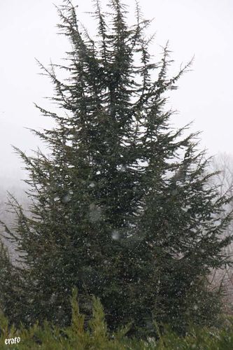 recueil-44-8526.jpg