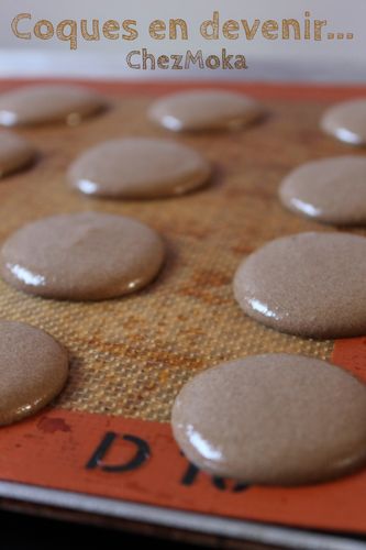 Coques-macarons-1.JPG