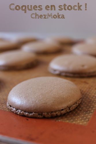 Coques-macarons.JPG