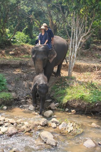 Thailande 5769