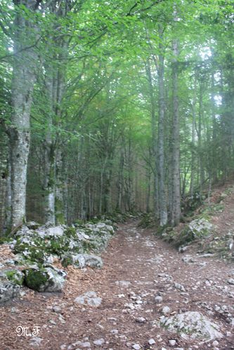 Villard de Lans (215)