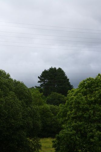 2012-07-09 0005