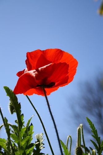 2012-05-16_0093.jpg
