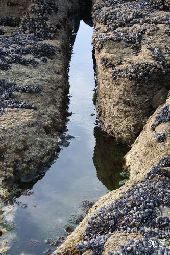 2011_09_24_317.JPG