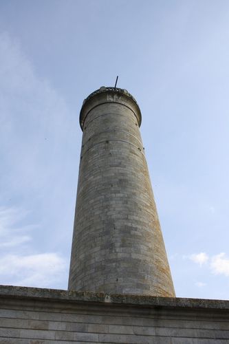 2011_08_31_955.jpg