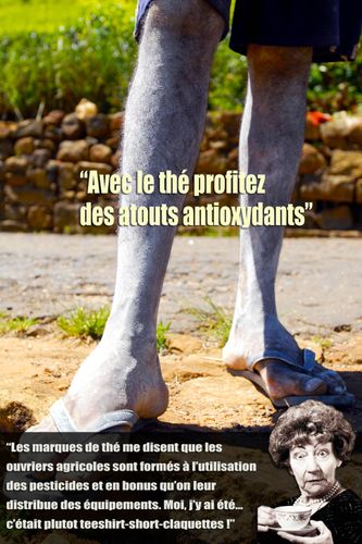 6. Avec le thé profitez des atouts antioxydants