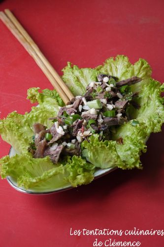 salade d'effiloché de boeuf à la thaï