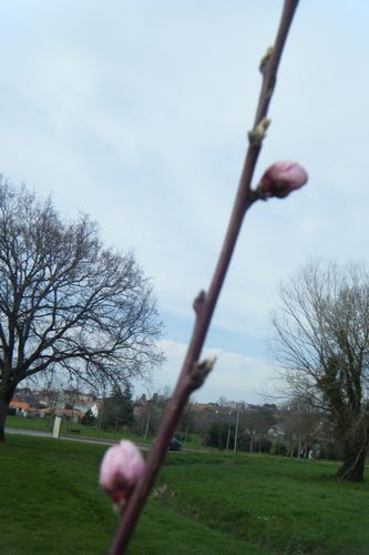 DSCF3555.JPG