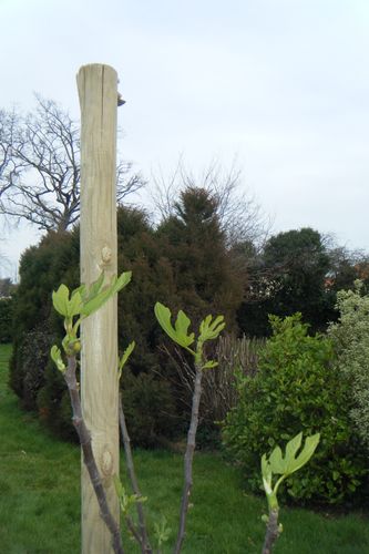 DSCF3558.JPG