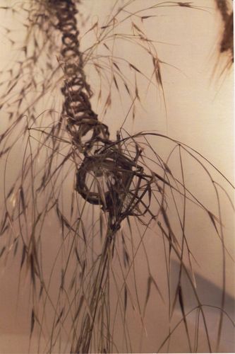 bernadette main