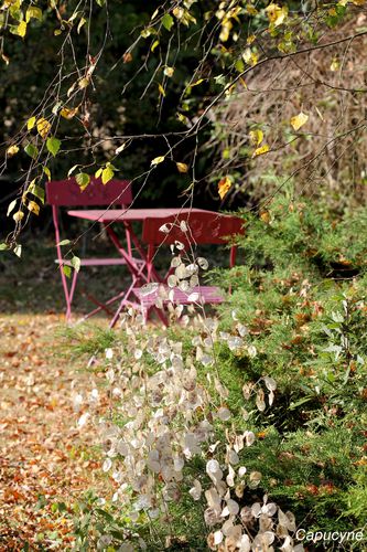Jardin 3722